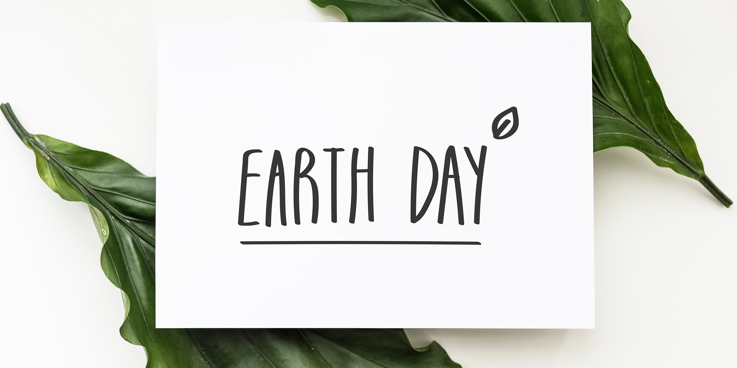 Earth Day 2020: 8 Ways to Celebrate Earth Day and Support Climate Action from Home